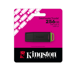 Memoria USB 256 GB Kingston DTXG2/256GB