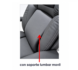 Sillón Ejecutivo Buzz