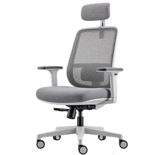 Sillón Ejecutivo Lotto