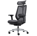 Sillón Ejecutivo Arco 10
