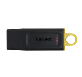 Memoria USB Kingston 128 GB