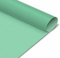 Cartulina Color Verde Claro Pastel