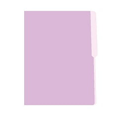 Caja de Folder de Color Lila 8½x11 100/1 - Irasa