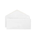 Caja de Sobre Blanco #10 - 500/1